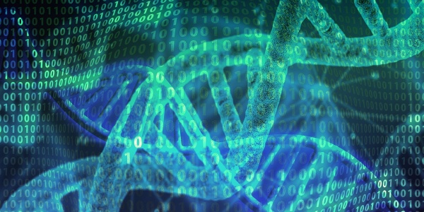 Medicina Regenerativa Intervencionista Ecoguiada para Patologías de Columna. Curso teórico-práctico intensivo. 19 y 20 de noviembre de 2022.