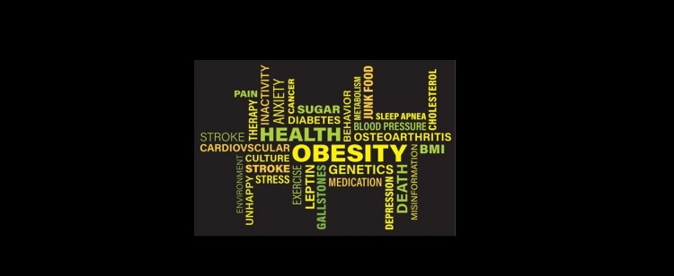 El origen de la obesidad y la diabetes tipo 2 (Entrevista radial)